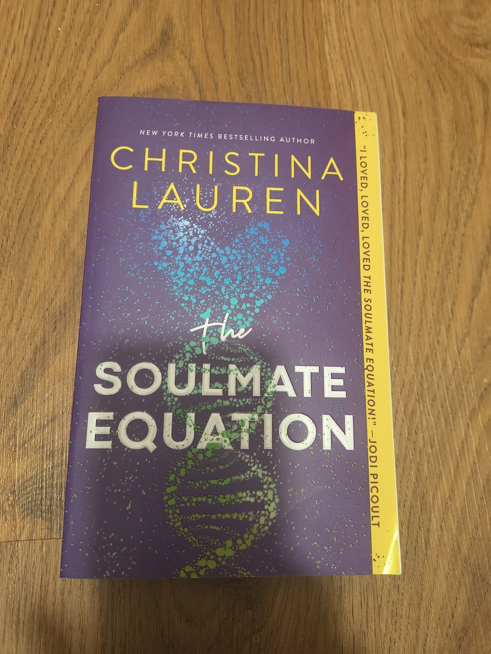 The Soulmate Equation Book